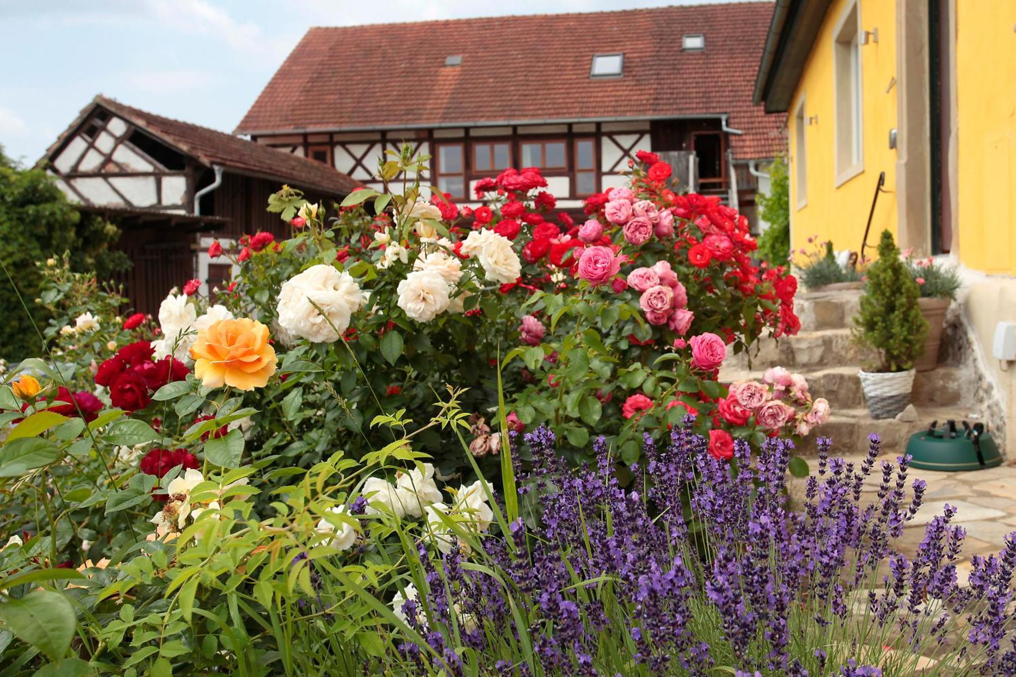 Studioapartment Mit Wohlfuehlcharakter Litzendorf Екстериор снимка